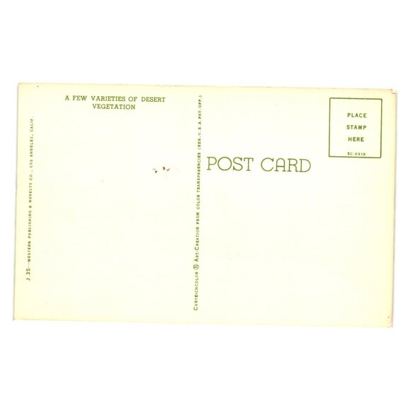 Varieties Of Desert Vegetation Postcard Western Publishing J35 Los Angeles CA - Picture 2 of 2